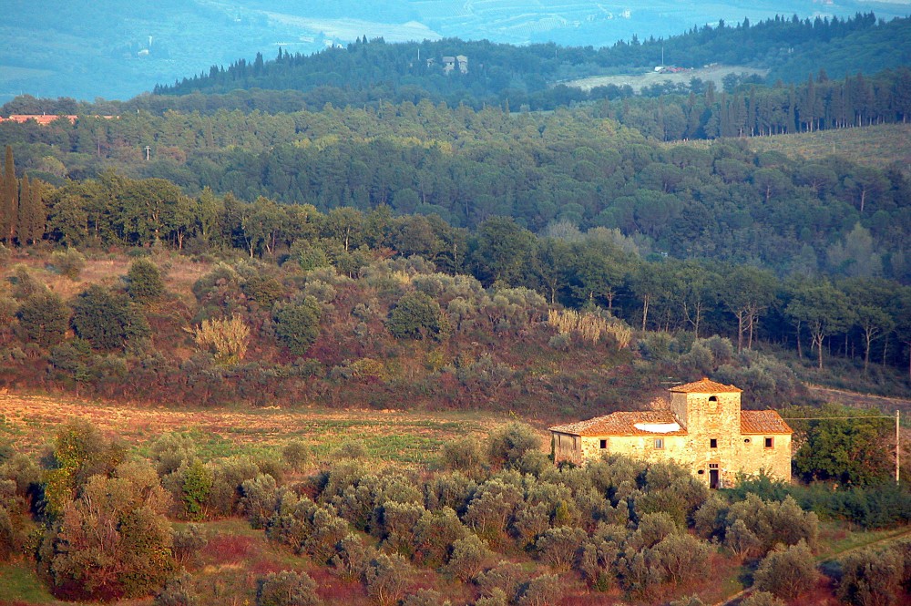 Paesaggi ASSOCIAZIONE CULTURALE PRO LOCO SAN DONATO IN POGGIO (FI