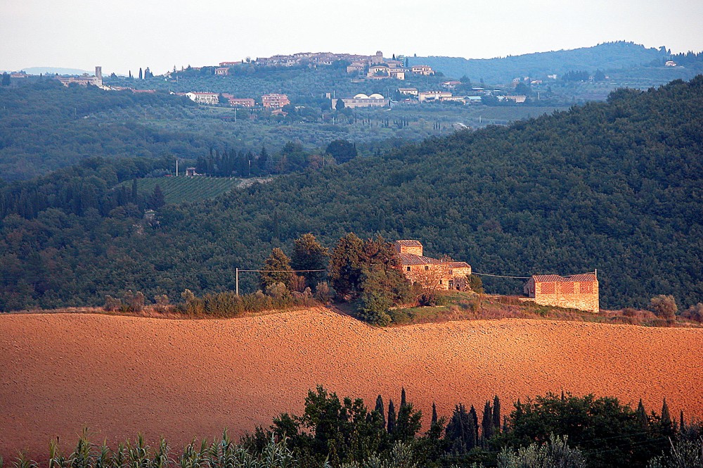 Paesaggi ASSOCIAZIONE CULTURALE PRO LOCO SAN DONATO IN POGGIO (FI