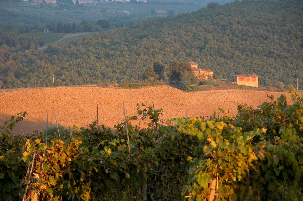 Paesaggi ASSOCIAZIONE CULTURALE PRO LOCO SAN DONATO IN POGGIO (FI