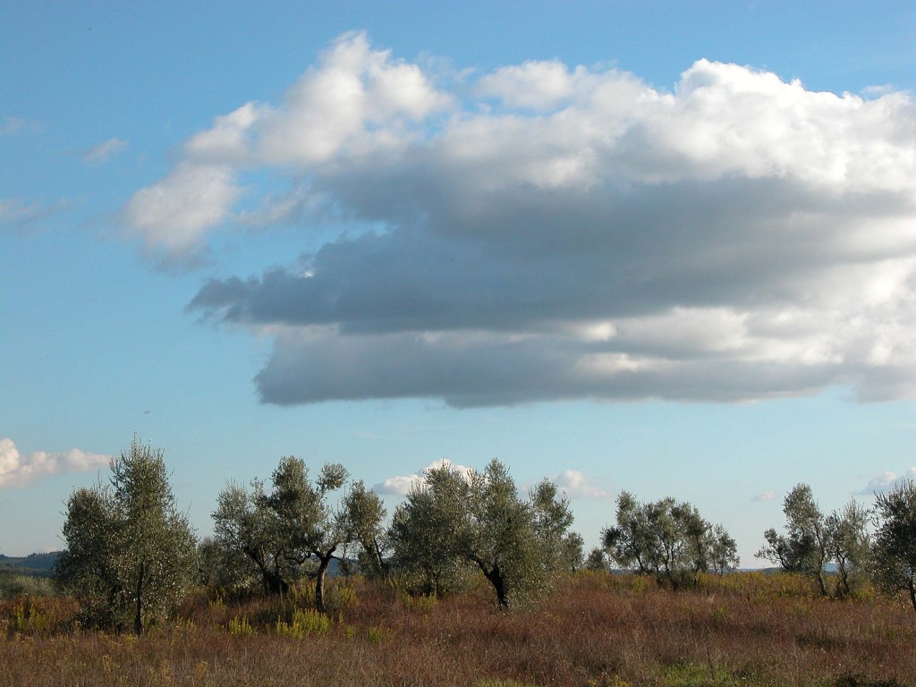 Paesaggi ASSOCIAZIONE CULTURALE PRO LOCO SAN DONATO IN POGGIO (FI