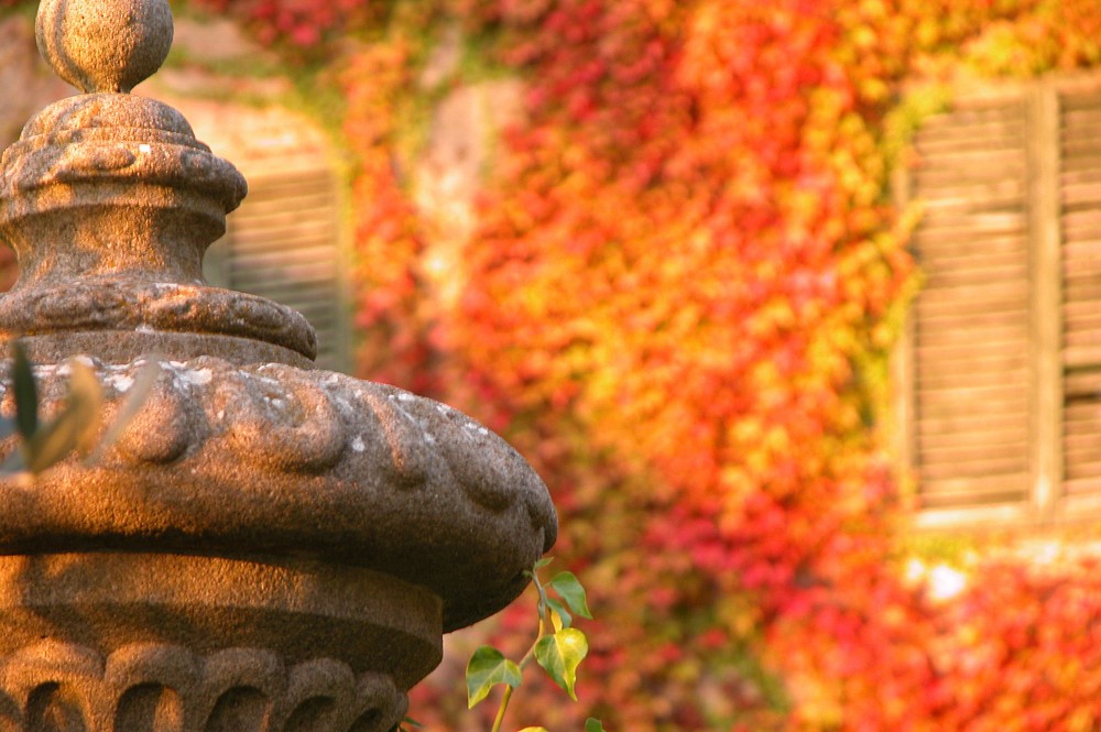 Paesaggi ASSOCIAZIONE CULTURALE PRO LOCO SAN DONATO IN POGGIO (FI